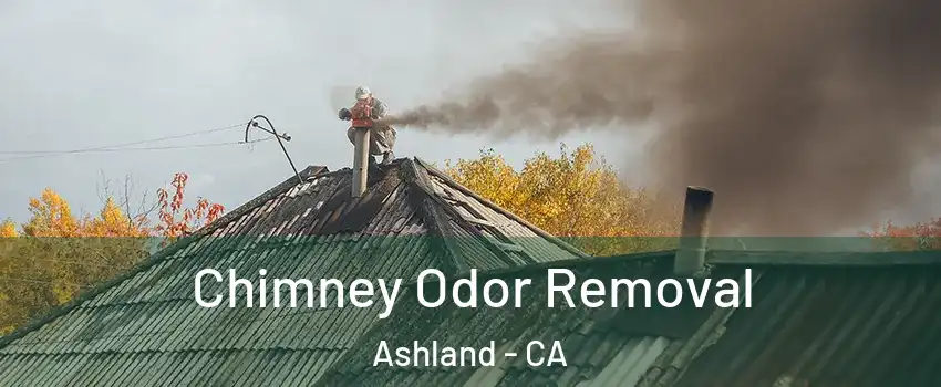 Chimney Odor Removal Ashland - CA
