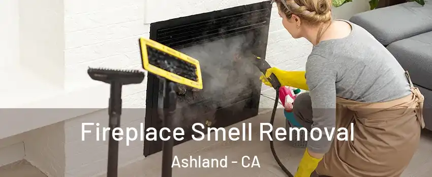  Fireplace Smell Removal Ashland - CA