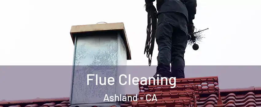  Flue Cleaning Ashland - CA