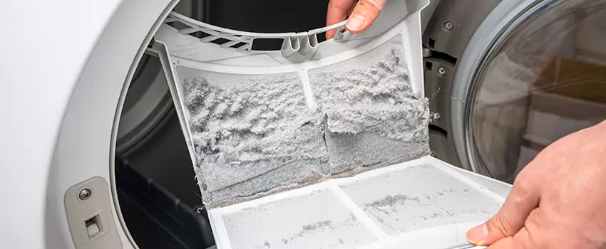 Best Dryer Lint Removal Company in Ashland, California