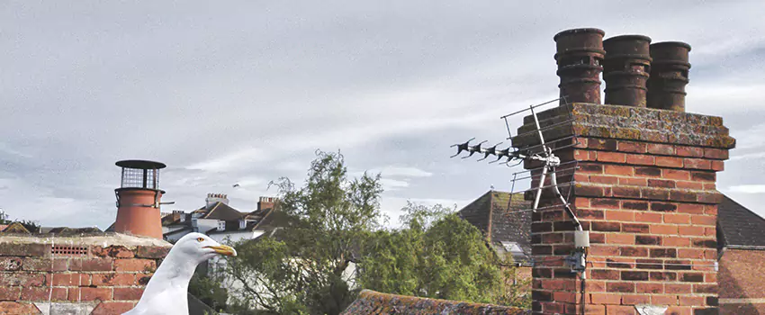 Chimney Cleaning And Restoration in Ashland, California