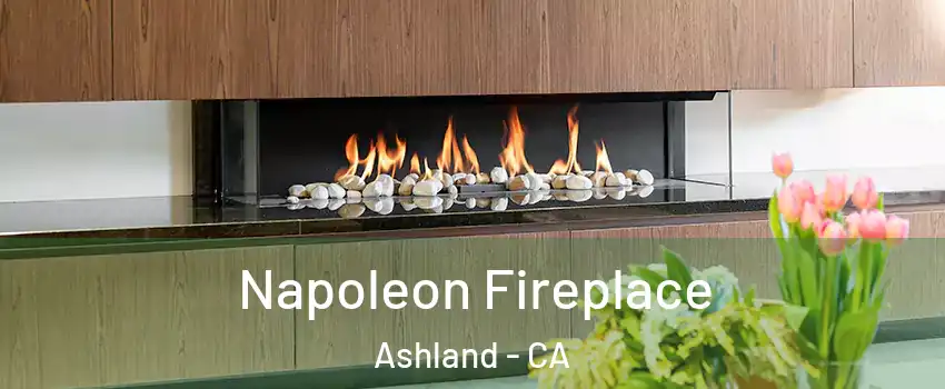  Napoleon Fireplace Ashland - CA